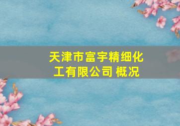 天津市富宇精细化工有限公司 概况